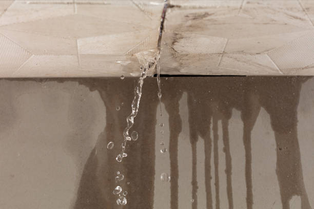 Professional Water Damage Repair technician working in Canton, PA